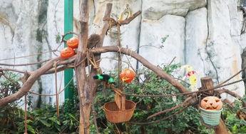 围观吵架吃瓜动物,围观吵架的趣味瞬间