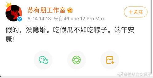 如何登录吃瓜网页,畅享吃瓜乐趣——揭秘吃瓜网页登录攻略